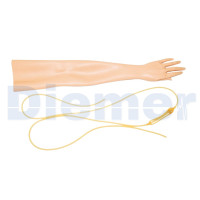 Piel y Venas Brazo Iv Maniqui Nursing Anne